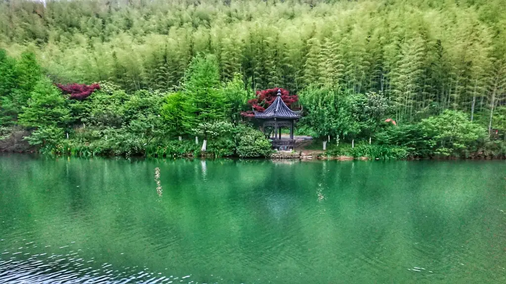 艺知诺艺术培训学校美术与舞蹈课程体系设计及实施要点