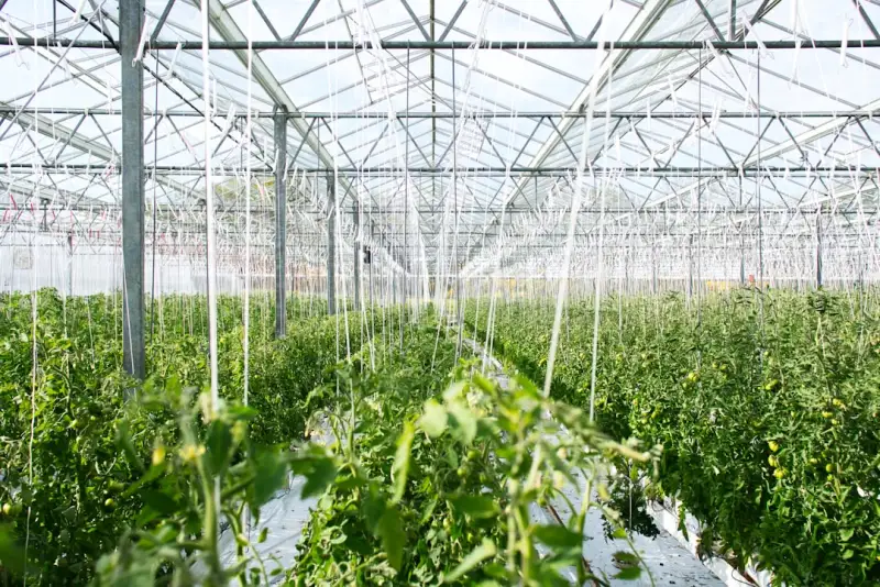 少儿舞蹈培训机构师资选拔标准与教学质量管理实践