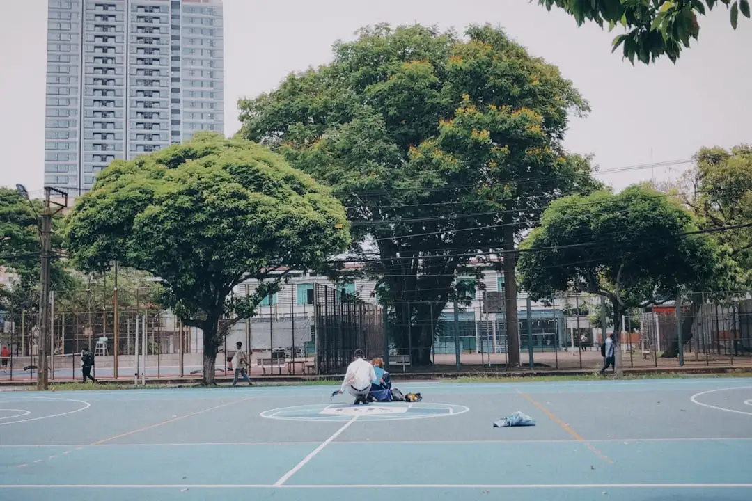 西安艺知诺美术舞蹈课程体系与教学效果对比分析