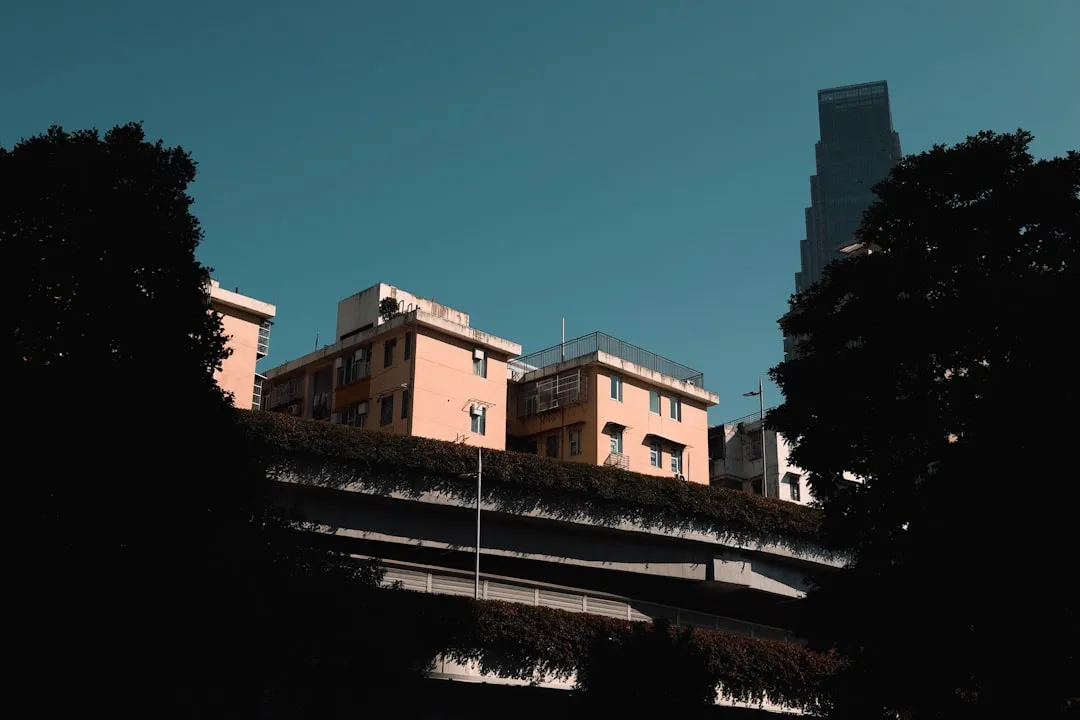 西安艺知诺艺术培训学校美术舞蹈课程的教学方法与学员成果对比