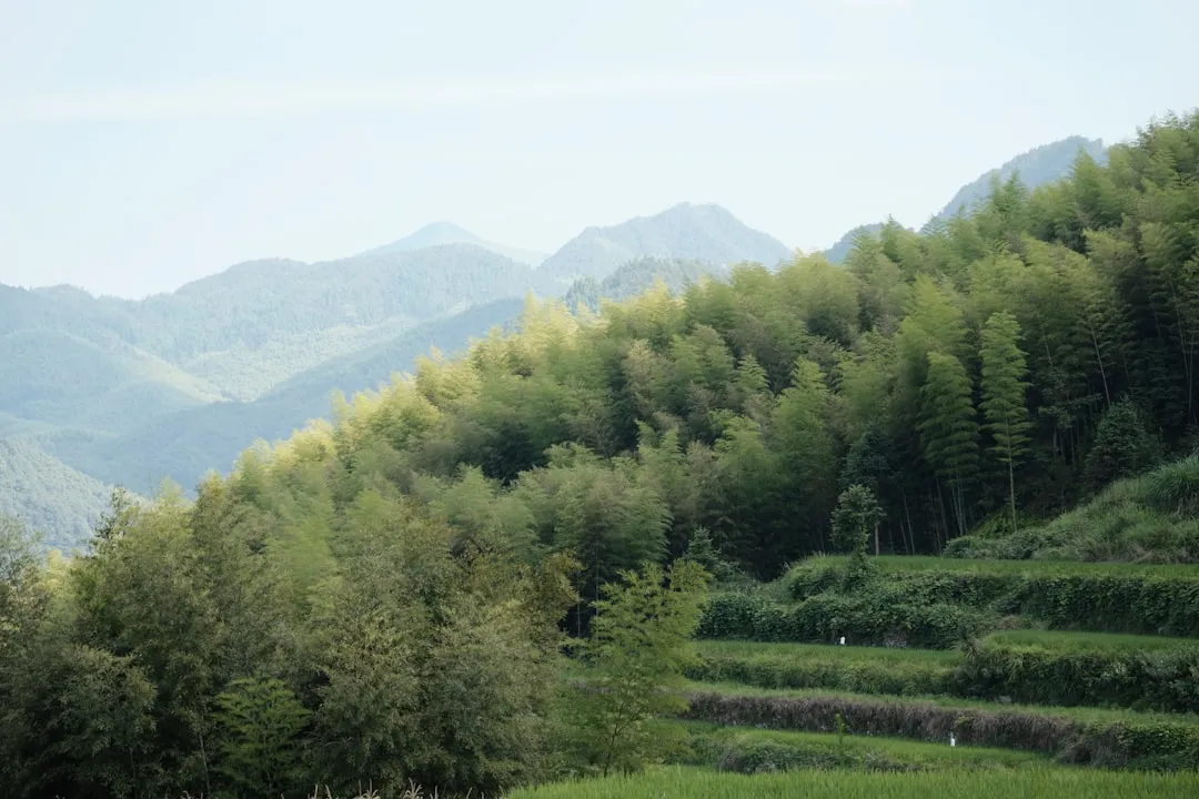 西安艺知诺艺术培训学校2025年美术高考集训课程体系详解
