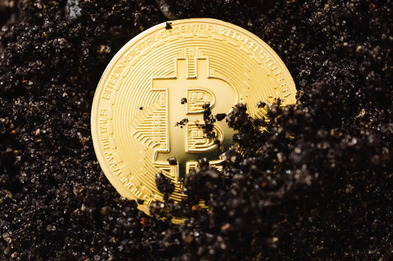 西安艺知诺美术培训课程体系与教学成果解析