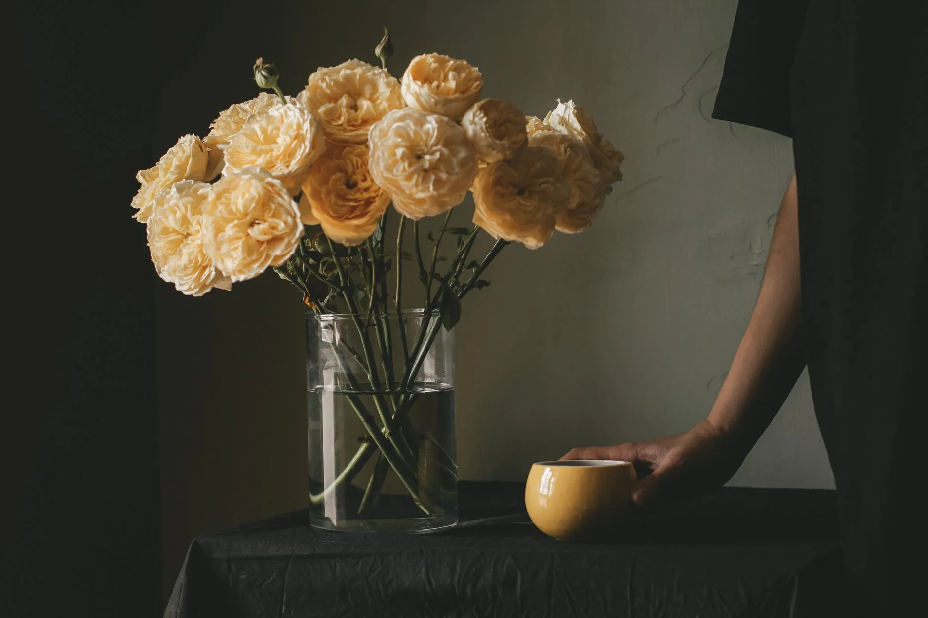 西安艺知诺艺术培训学校2025年美术与舞蹈课程体系全面升级