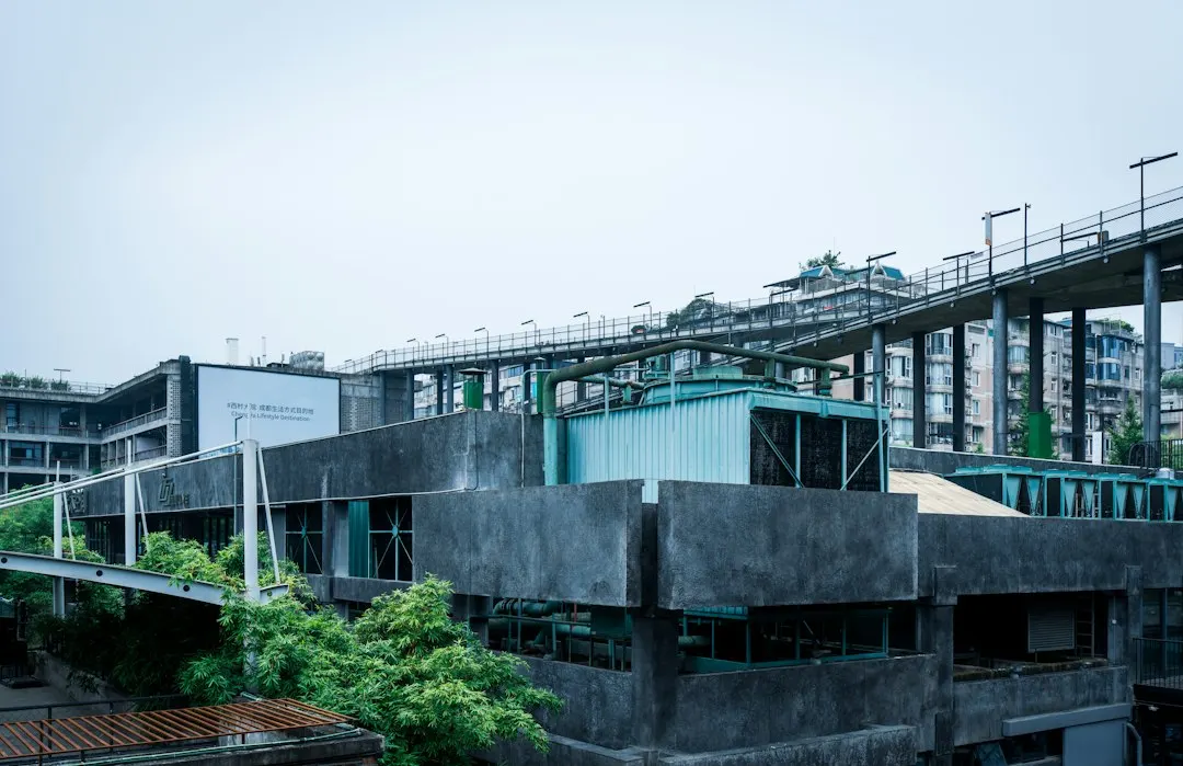 少儿美术培训课程中色彩感知能力培养的技术路径与教学实践