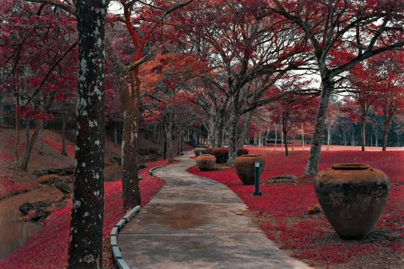 西安艺知诺艺术培训学校解析青少年美术培训课程体系的设计逻辑